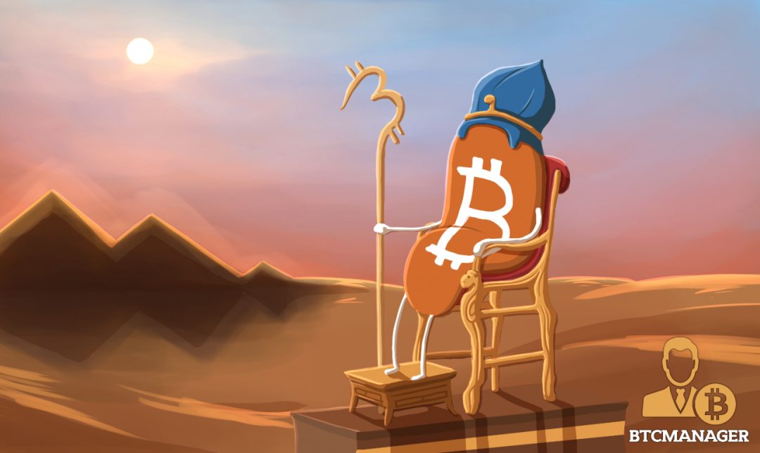 The Grand Mufti of Egypt Debates Bitcoin’s Legitimacy