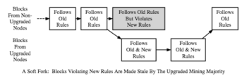 Soft Fork vs Hard Fork Crypto