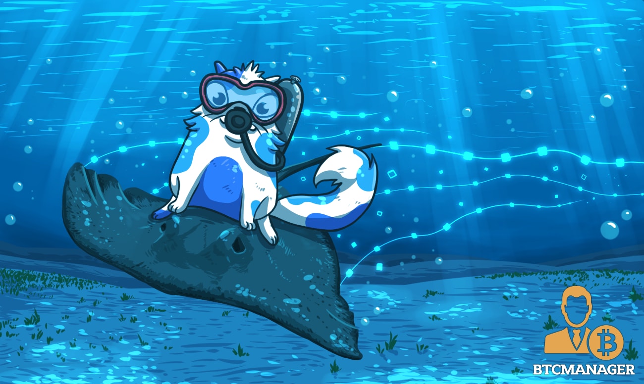 Cryptokitties Launches the First Ever Blockchain Charity Event Focused on Marine Life Protection