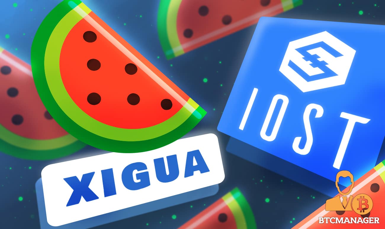 IOST-based Xigua Finance to Launch Multi-Chain IDO Platform XPlus