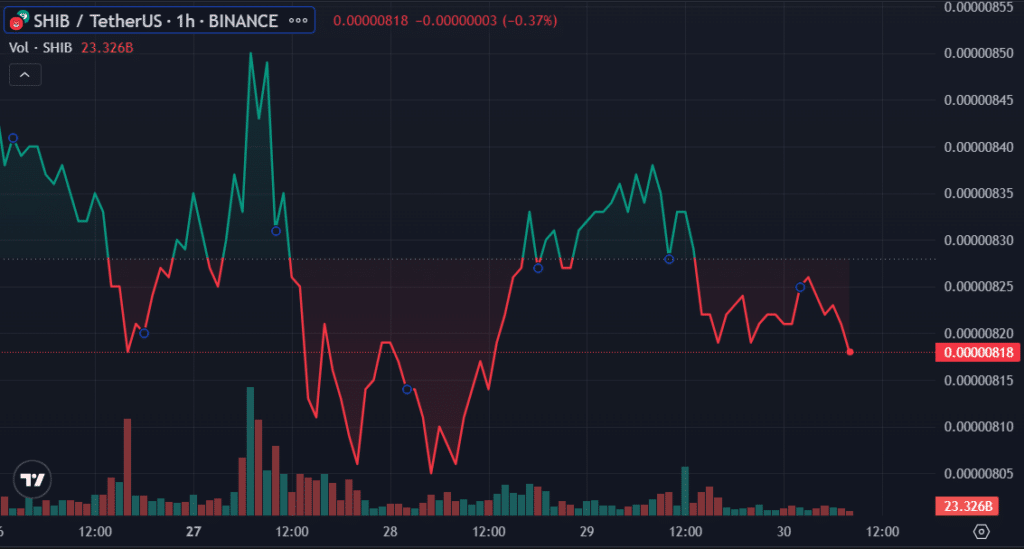 SHIB holds steady above $0.000008, burn rate spikes 913% in 24 hours - 1