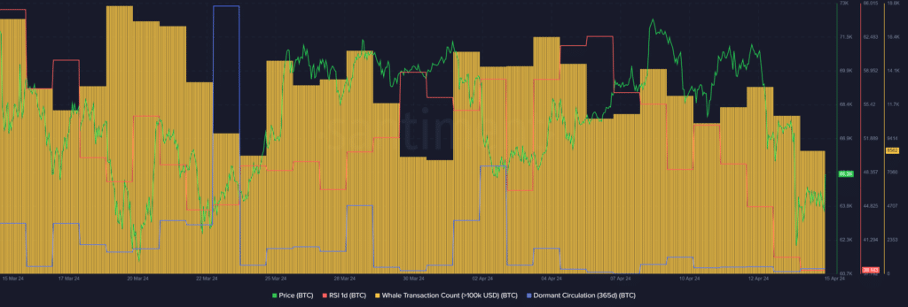 Bitcoin is still undervalued despite surge to $66k - 1