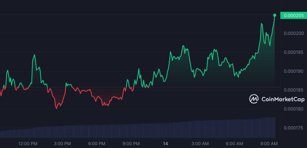 Meme coins stay on top as FLOKI, BOME, DOGE lead markets - 1