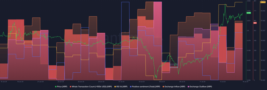 XRP bullish sentiment surges, whale activity doubles - 1