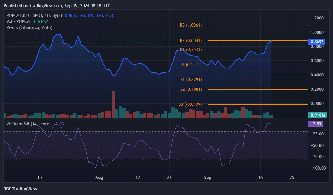 Popcat records 22% spike, can bulls target the $1 mark? - 1