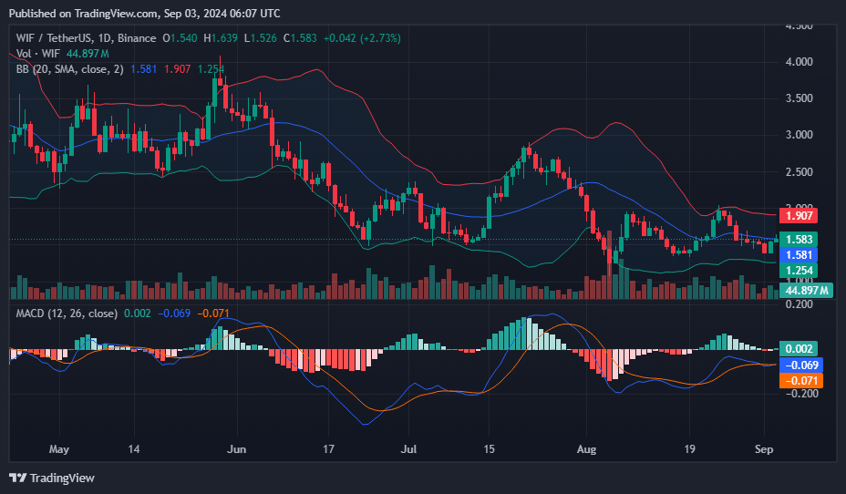 WIF leads meme coin rally with 12% surge - 2