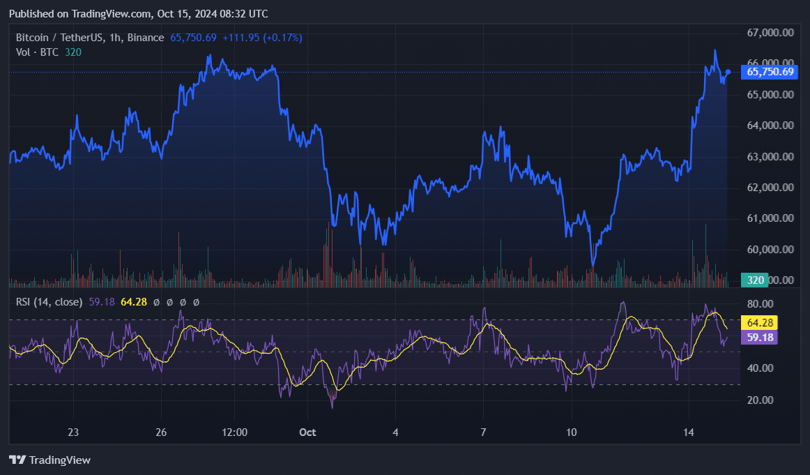 94% of Bitcoin holders are in profit; will they sell? - 2