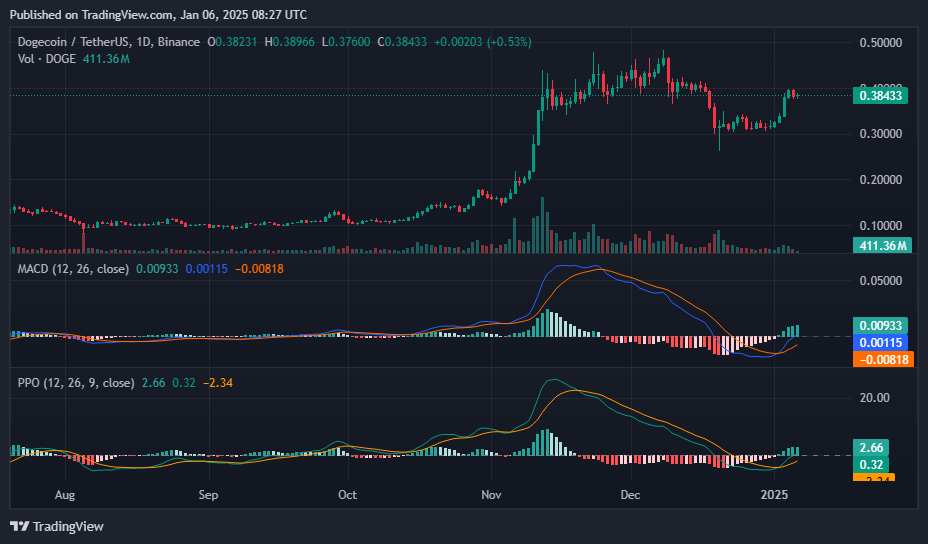 Dogecoin whale activity and bullish technicals point to potential upside - 4