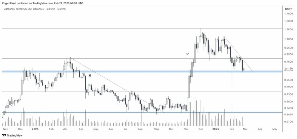 Cardano, Dogecoin, Sui struggle to recover after market crash, RBLK sparks investor frenzy - 2